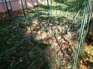 parco-valente-2