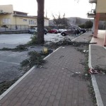 carnello danni vento