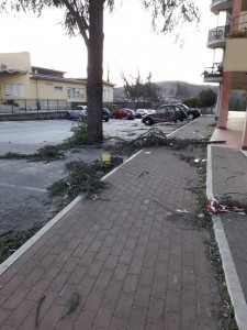 carnello danni vento