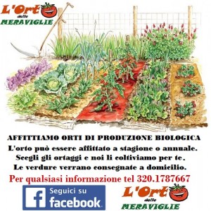 orto meraviglia ok