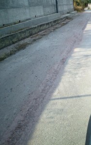 ARPINO STRADA DISSESTATA2