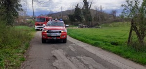 Esplos alatri, morto