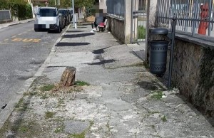 toppe isola 2
