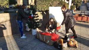 albero cimitero sora