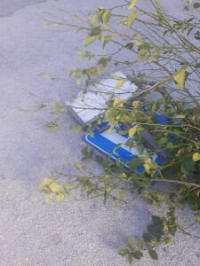 IMG-20220112-WA0013