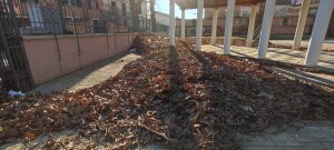 IMG_20220118_151207
