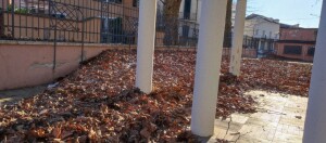 IMG_20220119_155551