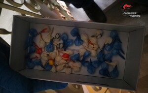 Foto 2 (1)