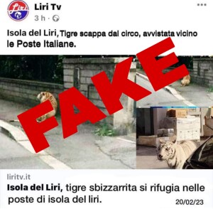 fake news logo liritv