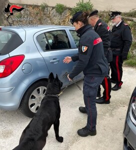 Controlli antidroga dei Carabinieri