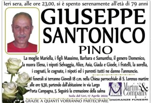 pino santonico