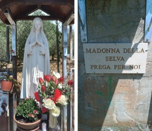 madonna selva sora mezzano