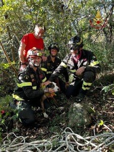 Castrocielo, i vigili del fuoco recuperano un cane in alta montagna finito in burrone