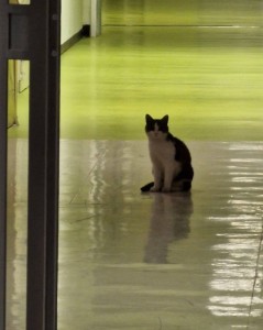 Screenshot_2026-03-11-18-34-27-517_com.miui.gallery-edit