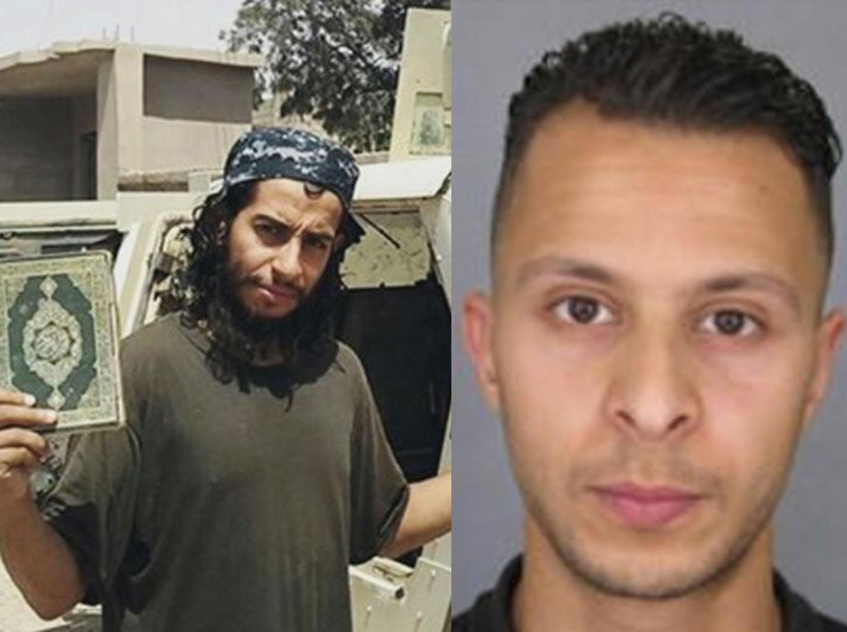 capocellula-ko1D-U43130559503666kUD-1224x916@Corriere-Web-Sezioni