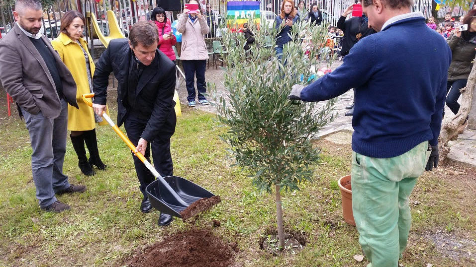 gior. naz. albero cassino