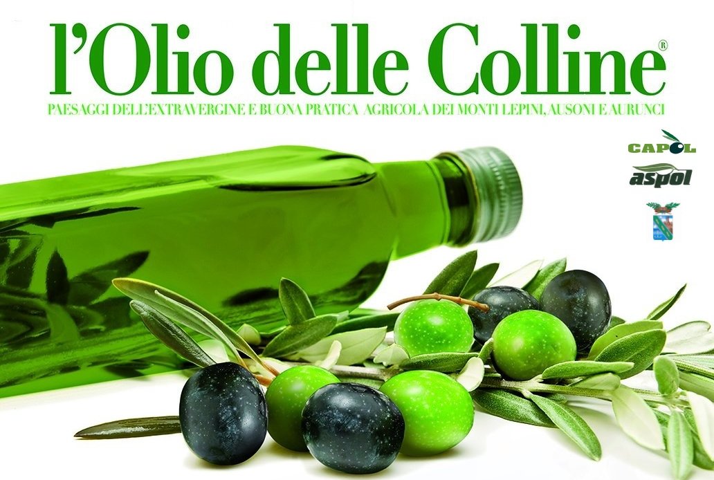 CONCORSO PRINCIPE DELL'OLIO