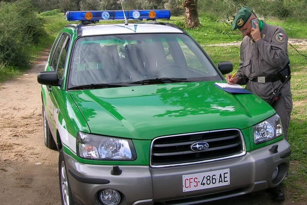 forestale-controlli-600x400
