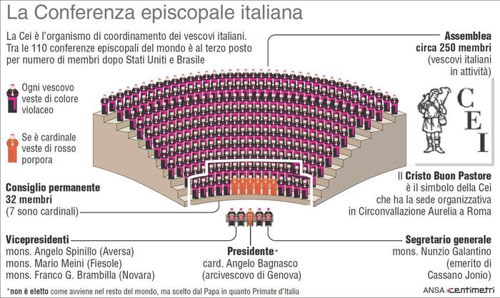 INFOGRAFICA: PAPA