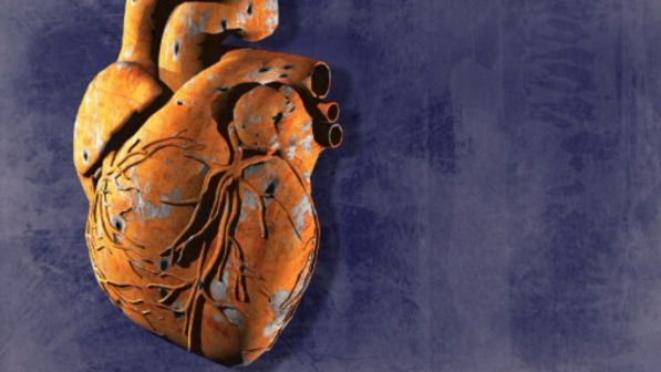 cuore2