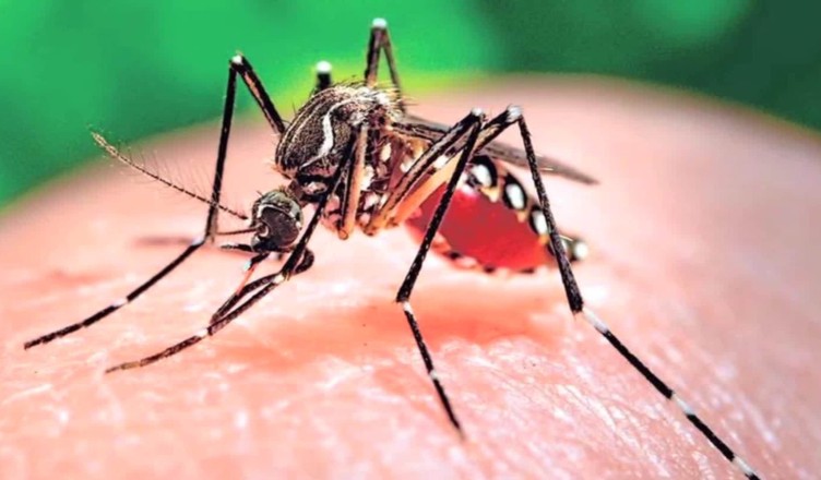 zika