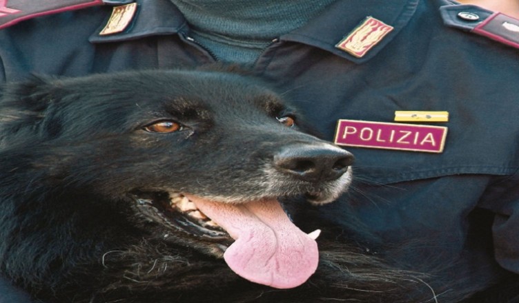 polizia-cinofila2