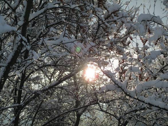 inverno