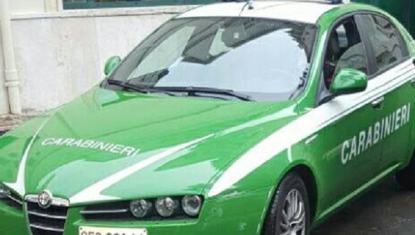 carabinieri-forestale1
