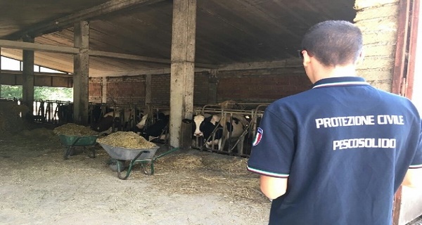 pescosolido-amatrice