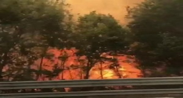 roma-orte-incendio