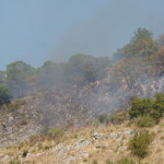 dsc00885