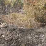 dsc00887