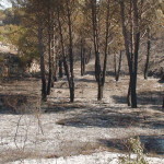 dsc00889