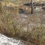 dsc00890