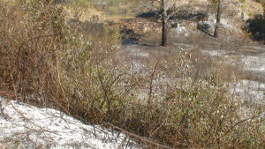 dsc00890