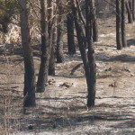 dsc00893