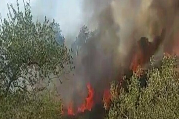 veroli-fuoco