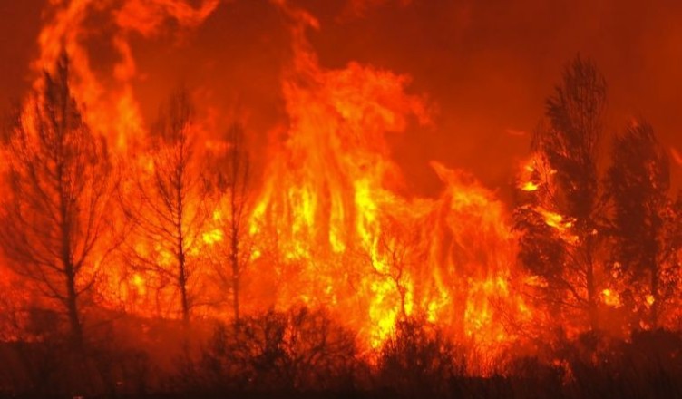 incendio-boosco