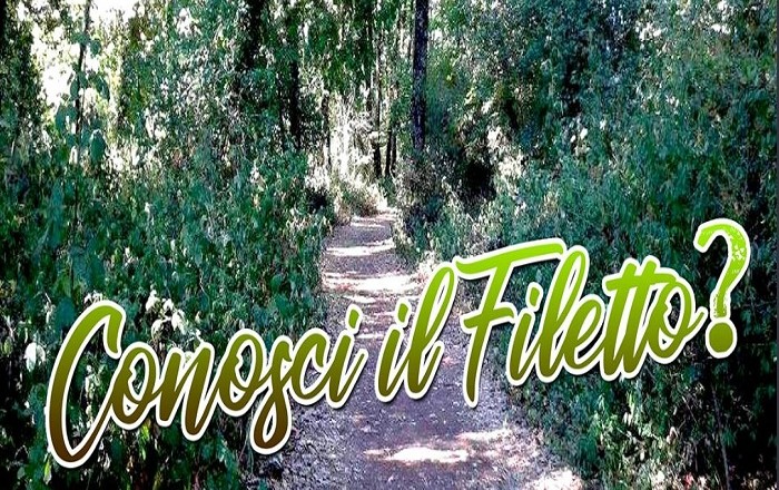 conosci-il-filetto