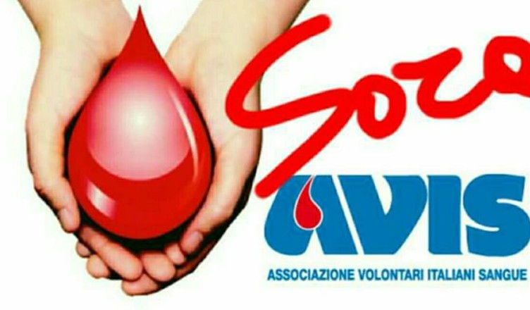avis-sora1