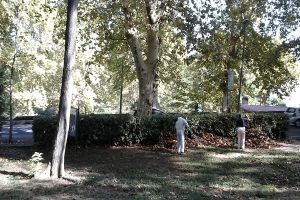 lavori-parco-fr