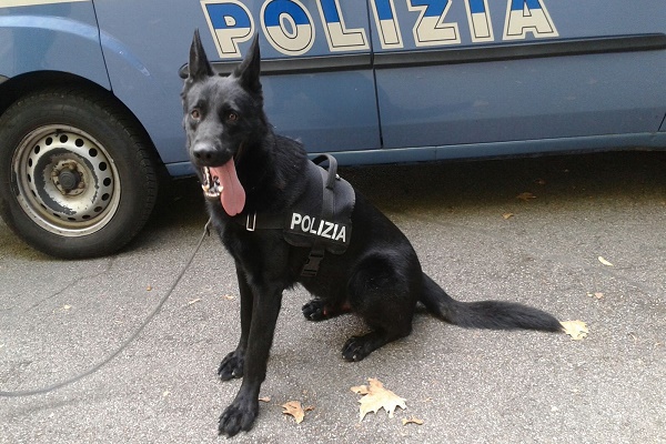 polizia-cane-cassino
