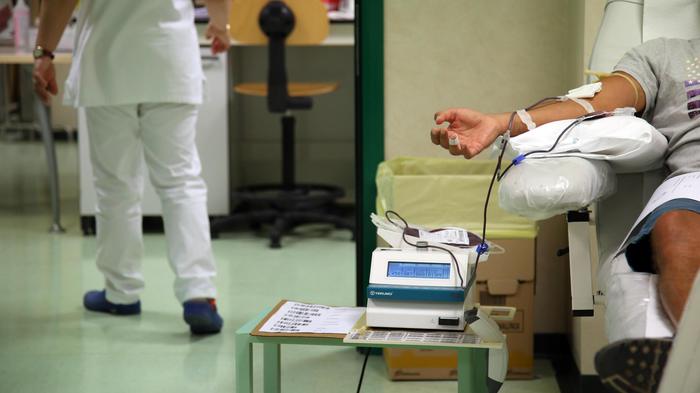 Chikungunya: Roma disinfesta, stop donazioni sangue