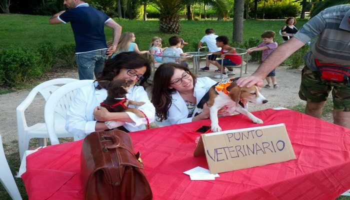 punto-veterinario-mont