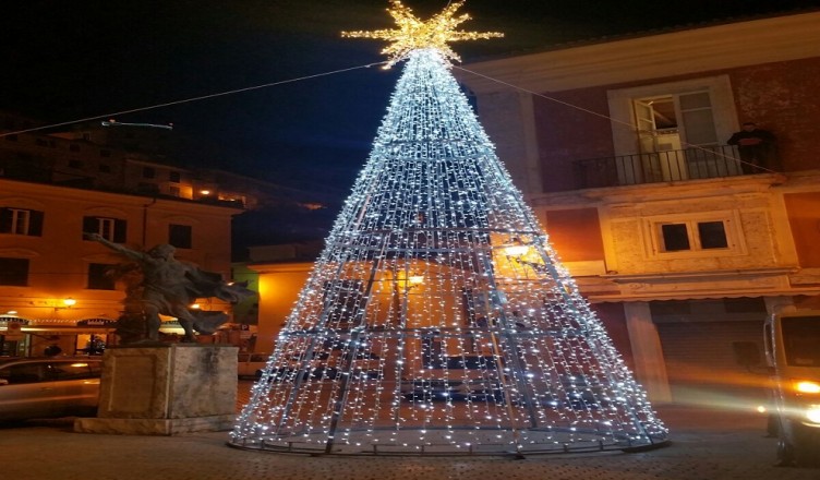 arpino-albero