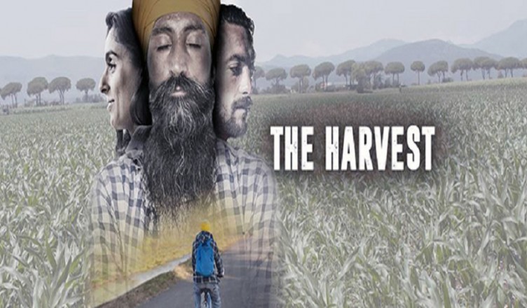 the-harvest