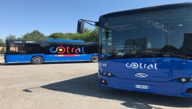 cotral-nuovi-sora