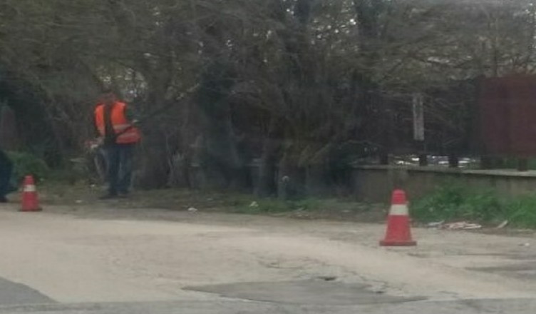 potatura-via-pargolesi-fr