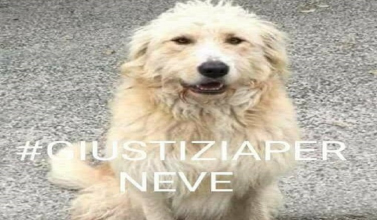 giustizia-per-neve