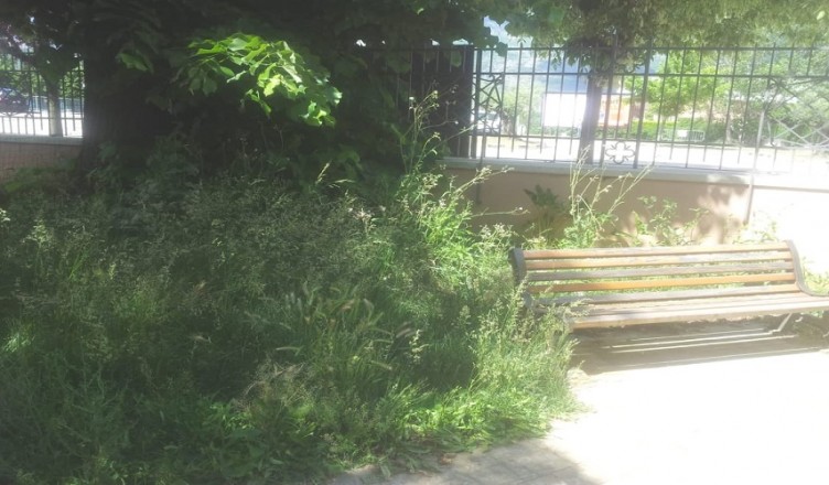 parco-valente-sora2